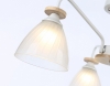 Потолочная люстра TRADITIONAL TR9562