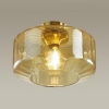 Потолочная люстра Odeon Light Binga 4747/1C