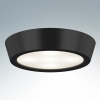 Настенно-потолочный светильник Lightstar Urbano Mini 214774