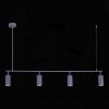 Подвесной светильник ST Luce KENDO SL1213.703.04