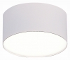 Потолочный светодиодный светильник ST Luce ST606.542.12