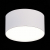 Потолочный светодиодный светильник ST Luce ST606.542.12