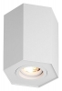 Накладной светильник Zumaline Polygon 20077-WH