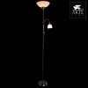 Торшер Arte Lamp Duetto A9569PN-2AB