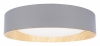 Потолочный светильник Coin 10202 Grey