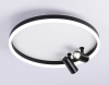 Потолочный светильник Comfort FL5113
