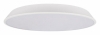 Потолочный светильник Brim 10226 White