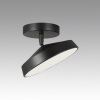 Потолочный светильник Mira Black 7656/12L