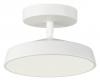 Потолочный светильник Mira White 7655/12L