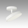 Потолочный светильник Mira White 7655/12L