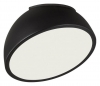 Потолочный светильник Pluto Black 7658/11L