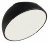 Потолочный светильник Pluto Black 7658/35L