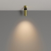 Спот Focus Led C055CL-L12W3K-W-BS