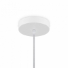 Подвесной светильник Cottage FR5405PL-01W2