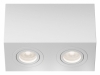 Потолочный светильник Maytoni Technical Atom C017CL-02W
