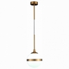 Подвесной светильник ST Luce Arbe SL1157.303.01