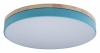 Потолочный светильник Loft IT Axel 10001/36 Blue