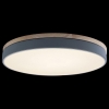 Потолочный светильник Loft IT Axel 10001/36 Grey