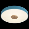 Потолочный светильник Loft IT Axel 10003/24 Blue