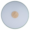 Потолочный светильник Loft IT Axel 10003/24 Green