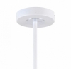 Потолочная люстра F-Promo Viator 2559-5P