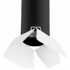 Потолочный светильник Lightstar Rullo (214487+202436) R487436
