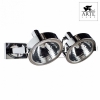 Потолочный светильник Arte Lamp Faccia A4507PL-2CC
