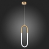 Подвесной светодиодный светильник ST Luce Mofisto SL1579.303.01