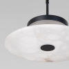 Подвесной светильник Thasos 40342 LED черный