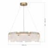 Подвесной светодиодный светильник ST Luce Voile SL6021.203.54
