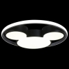 Потолочный светильник Loft IT Mike 10165