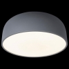 Потолочный светильник Loft IT Axel 10201/480 Grey