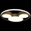 Потолочный светильник Loft IT Mike 10168