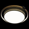 Потолочный светильник Loft IT Mike 10169