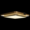 Потолочный светильник Loft IT Mike 10171