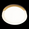 Потолочный светильник Loft IT Coin 10198 White