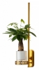 Настенный светодиодный светильник Favourite Greenery 4050-1W
