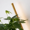 Настенный светодиодный светильник Favourite Greenery 4050-2W