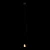 Подвесной светильник Loft IT Rain 10151