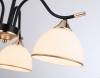 Потолочная люстра Traditional TR3161