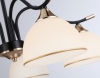 Потолочная люстра Traditional TR3162