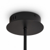 Подвесной светильник Brilliance FR5557PL-L32B