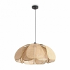 Подвесной светильник Cocoon FR5529PL-01B