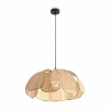 Подвесной светильник Cocoon FR5529PL-01B