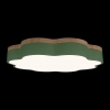 Потолочный светильник Axel 10225/36 Green