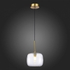 Подвесной светильник ST Luce FINN SL1049.303.01